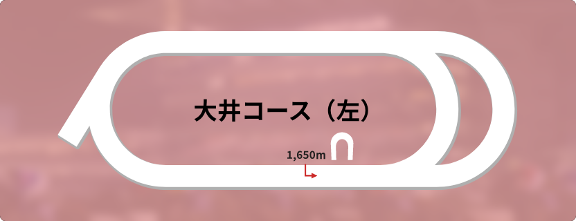 大井競馬場左回りコース図・特殊コースのレイアウト